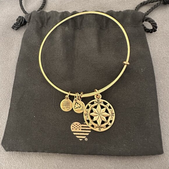 Alex And Ani Bracelet Gold Tone Compass Direction 2014 USA Bangle Energy W/ Bag - Picture 6 of 6